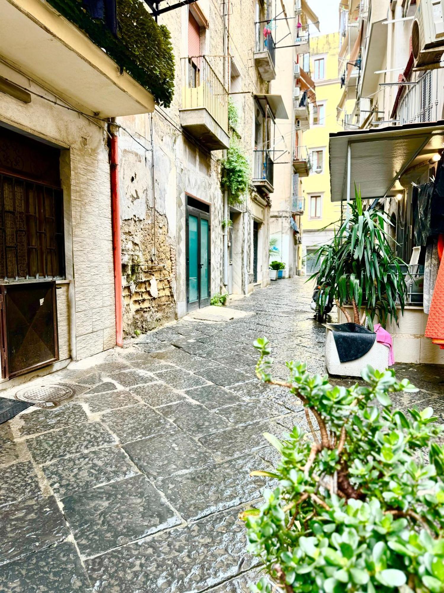 Apartamento Vesuvius House Nápoles Exterior foto
